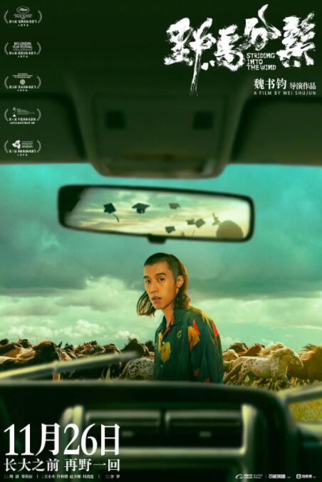 野马分鬃在线观看